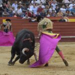 Valencia - Feria de Julio - Novillada picada - Domingo 22 de julio de 2018