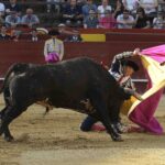 Valencia - Feria de Julio - Novillada picada - Domingo 22 de julio de 2018