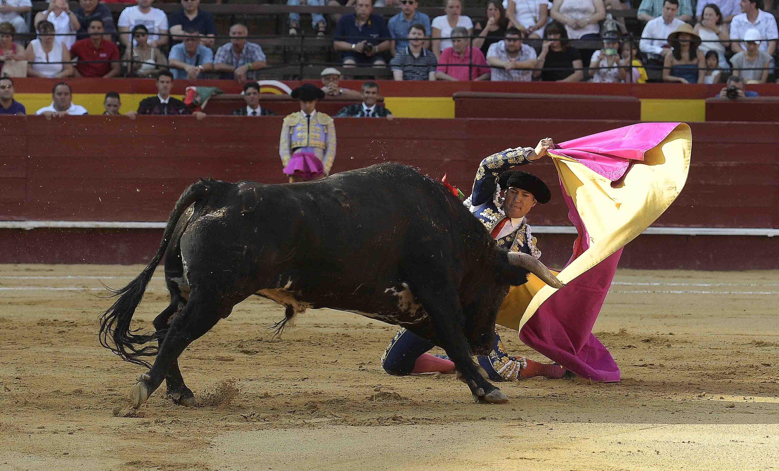 Valencia - Feria de Julio - Novillada picada - Domingo 22 de julio de 2018