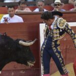 Valencia - Feria de Julio - Novillada picada - Domingo 22 de julio de 2018