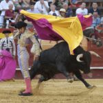 Valencia - Feria de Julio - Novillada picada - Domingo 22 de julio de 2018