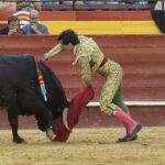Valencia - Feria de Julio - Novillada picada - Domingo 22 de julio de 2018
