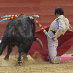 Valencia - Feria de Julio - Novillada picada - Domingo 22 de julio de 2018