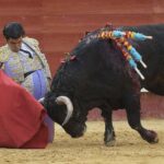 Valencia - Feria de Julio - Novillada picada - Domingo 22 de julio de 2018