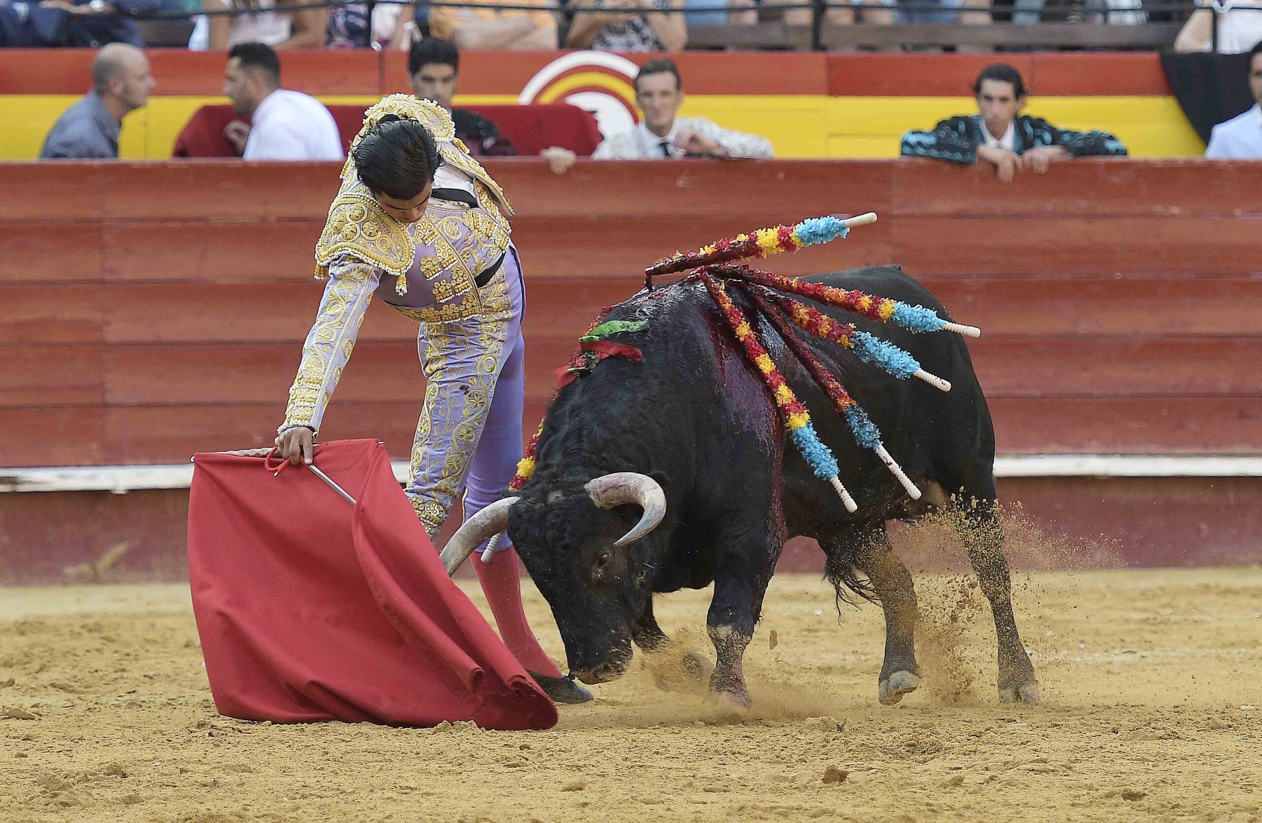 Valencia - Feria de Julio - Novillada picada - Domingo 22 de julio de 2018