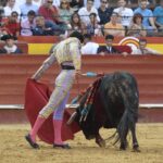 Valencia - Feria de Julio - Novillada picada - Domingo 22 de julio de 2018