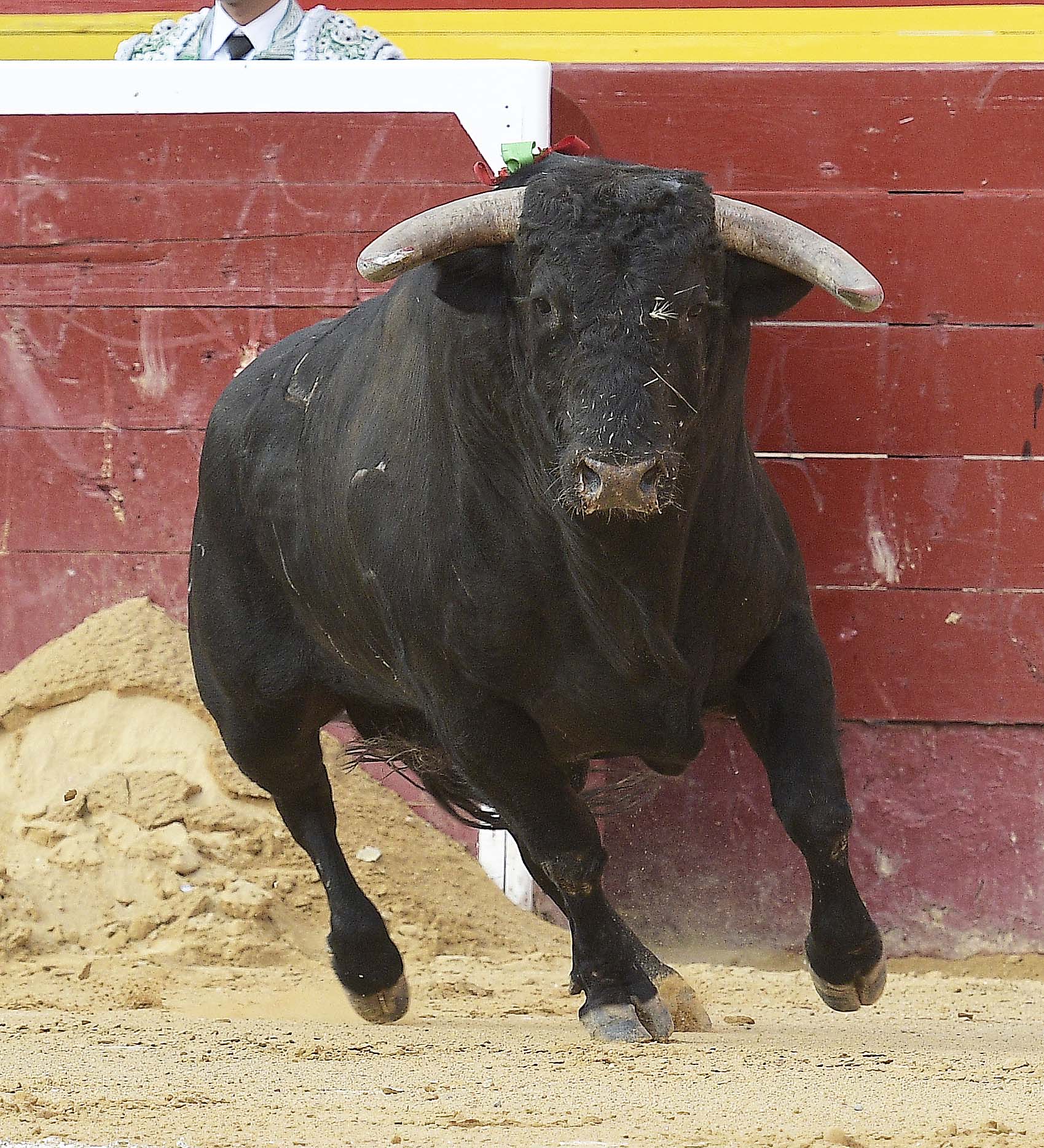 Valencia - Feria de Julio - Novillada picada - Domingo 22 de julio de 2018
