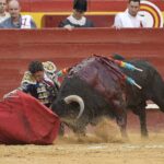 Valencia - Feria de Julio - Novillada picada - Domingo 22 de julio de 2018