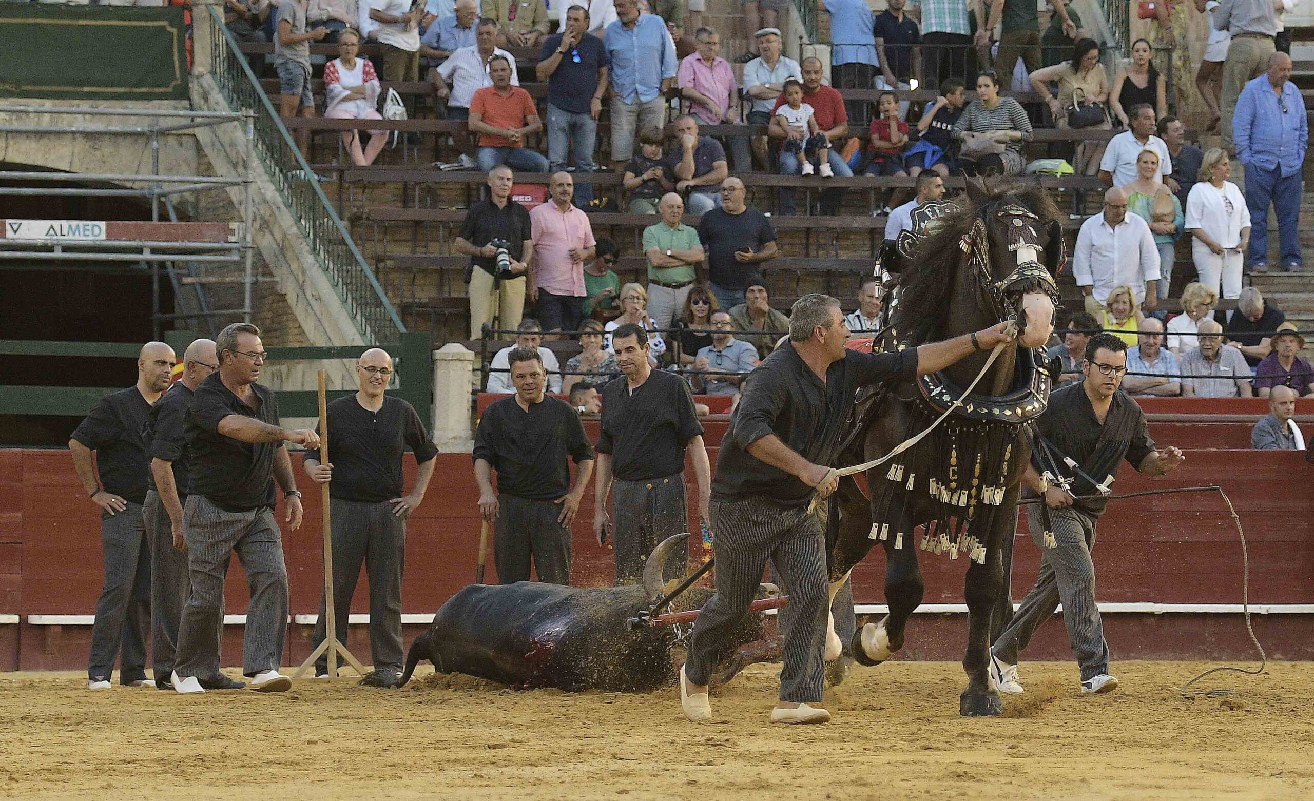Valencia - Feria de Julio - Novillada picada - Domingo 22 de julio de 2018