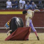 Valencia - Feria de Julio - Novillada picada - Domingo 22 de julio de 2018