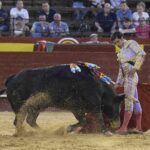 Valencia - Feria de Julio - Novillada picada - Domingo 22 de julio de 2018