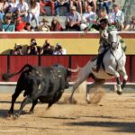 Vila Franca de Xira (Portugal), domingo 8 de julio de 2018