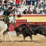 Vila Franca de Xira (Portugal), domingo 8 de julio de 2018