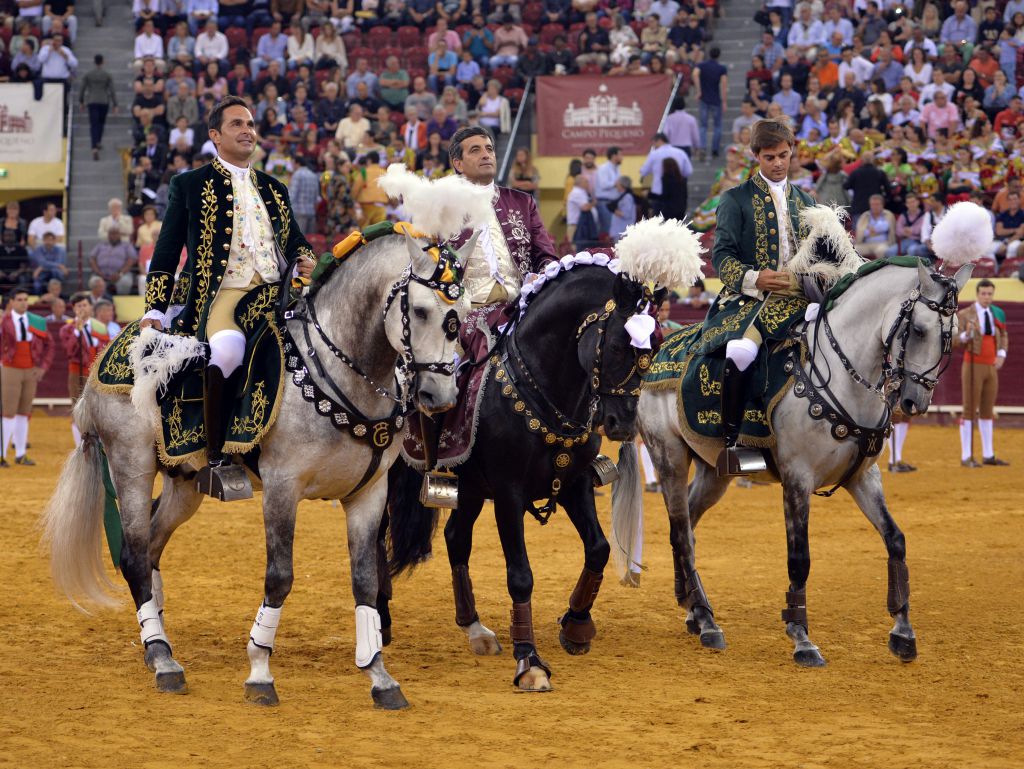 Luis Rouxinol, Filipe Gonçalves y Francisco Palha con toros de Pinto Barreiros