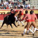 Vila Franca de Xira (Portugal), domingo 8 de julio de 2018