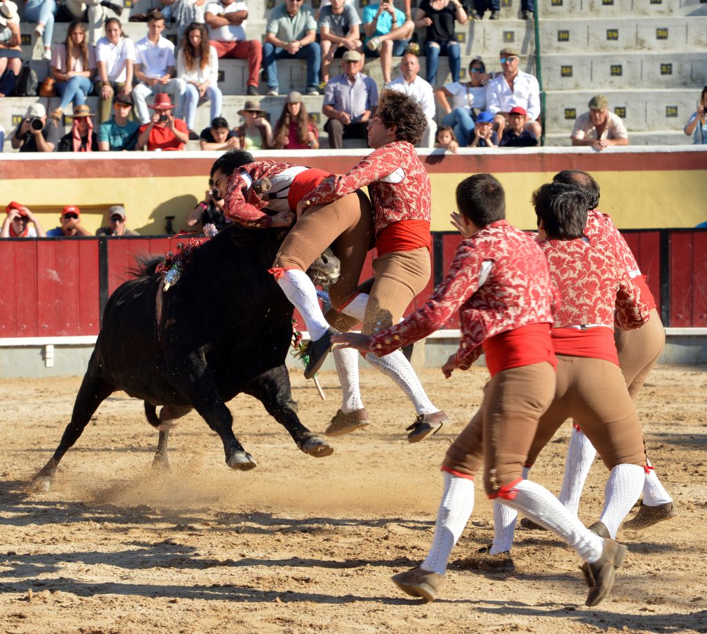 Vila Franca de Xira (Portugal), domingo 8 de julio de 2018