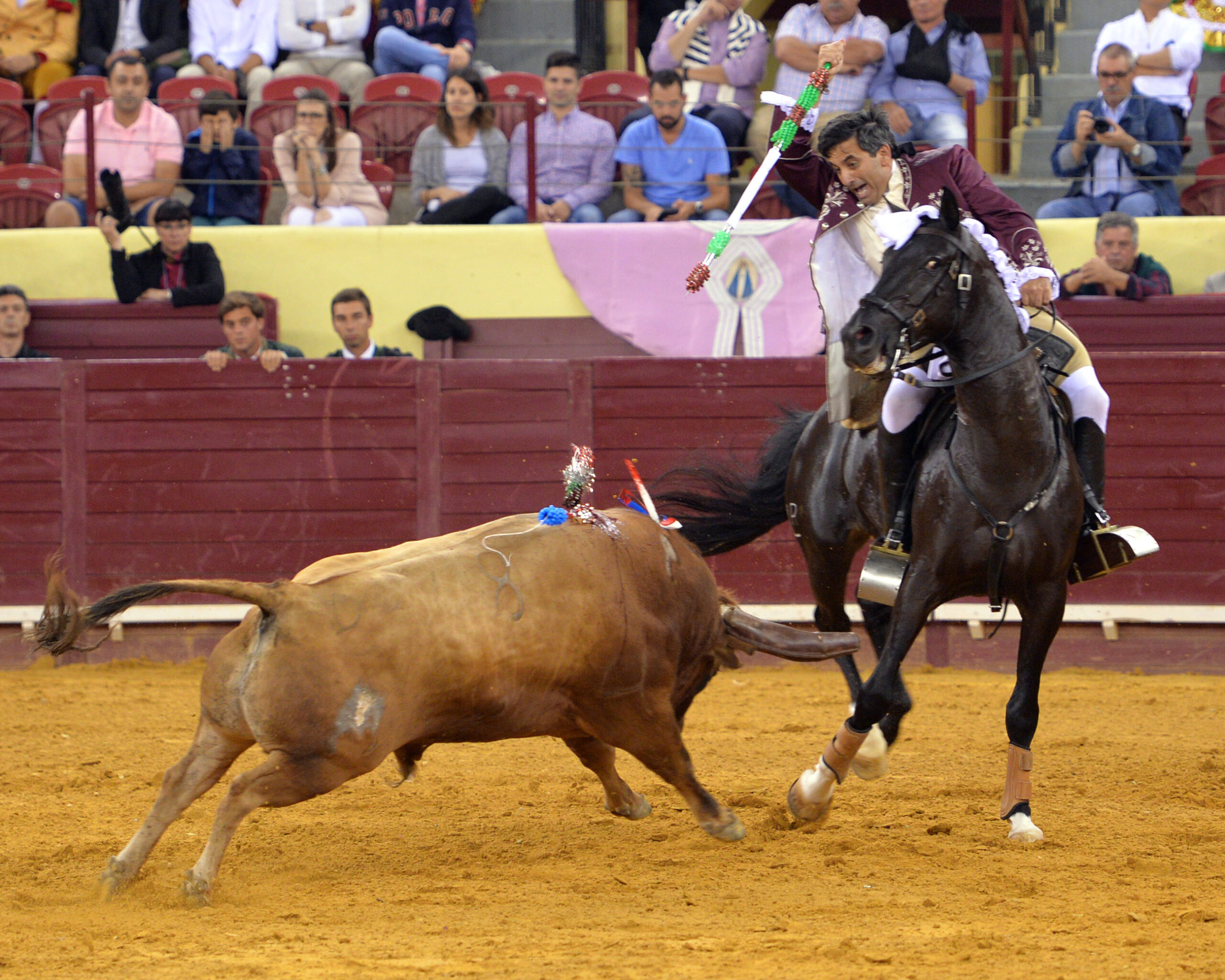 Luis Rouxinol, Filipe Gonçalves y Francisco Palha con toros de Pinto Barreiros