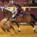 Luis Rouxinol, Filipe Gonçalves y Francisco Palha con toros de Pinto Barreiros