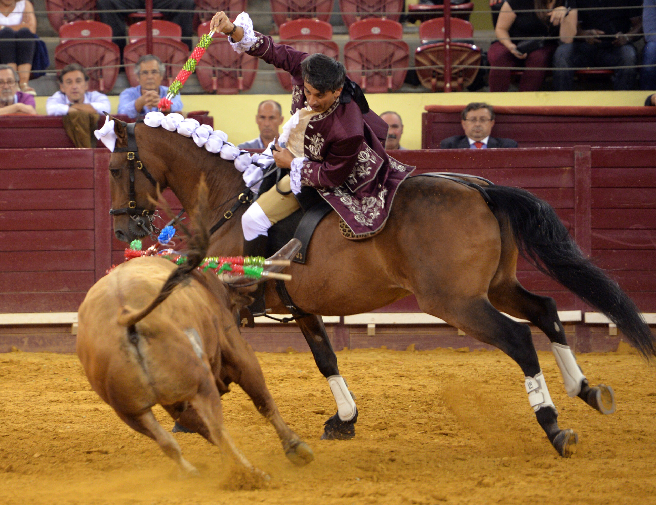 Luis Rouxinol, Filipe Gonçalves y Francisco Palha con toros de Pinto Barreiros
