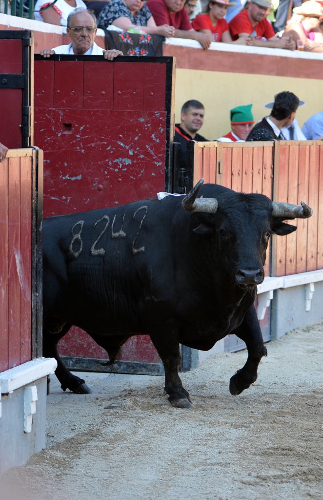 Vila Franca de Xira (Portugal), domingo 8 de julio de 2018