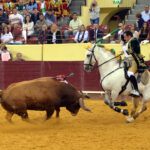 Luis Rouxinol, Filipe Gonçalves y Francisco Palha con toros de Pinto Barreiros