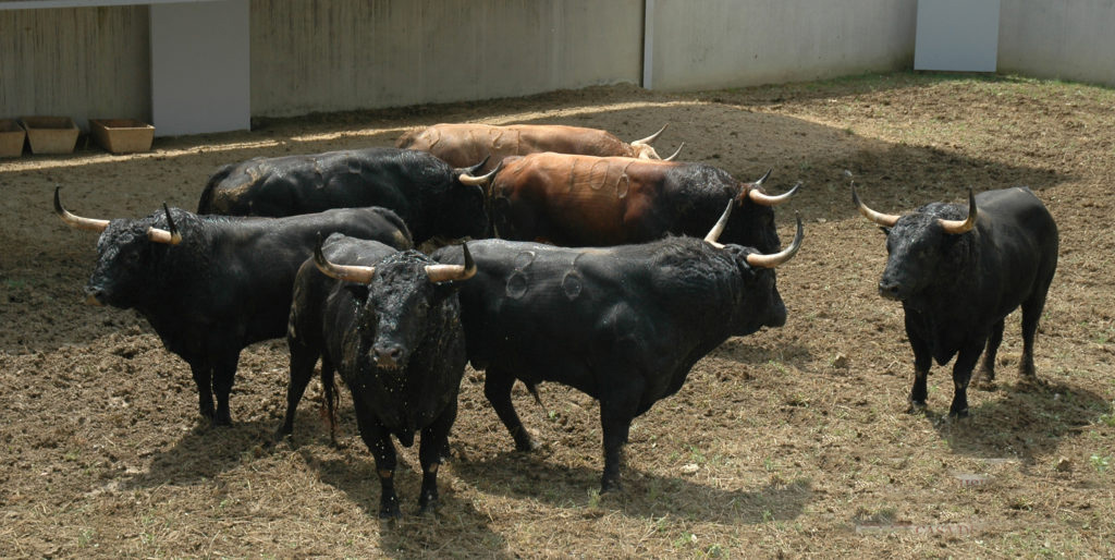Pamplona - Toros del Fuente Ymbro para el 10 de julio de 2018