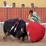 Vila Franca de Xira (Portugal), domingo 8 de julio de 2018