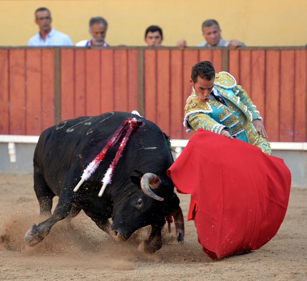 Vila Franca de Xira (Portugal), domingo 8 de julio de 2018