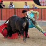 Vila Franca de Xira (Portugal), domingo 8 de julio de 2018