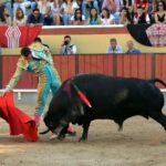 Vila Franca de Xira (Portugal), domingo 8 de julio de 2018