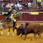 Luis Rouxinol, Filipe Gonçalves y Francisco Palha con toros de Pinto Barreiros