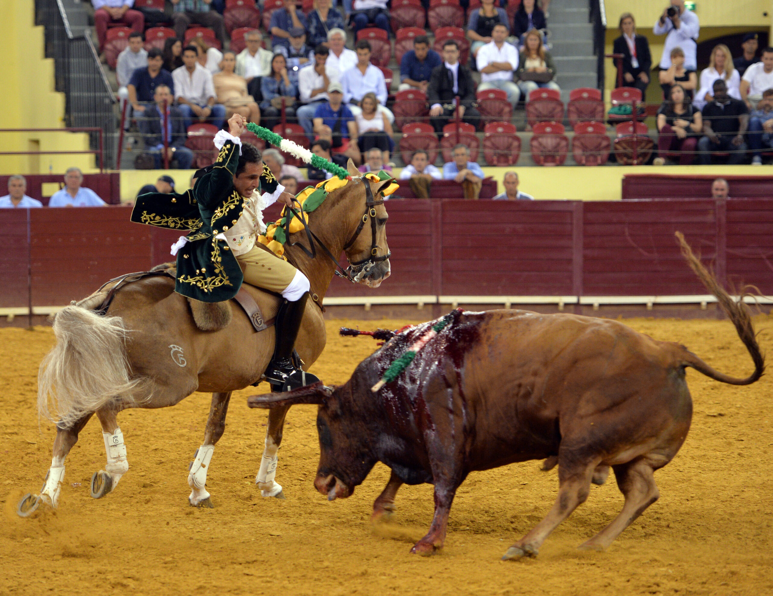 Luis Rouxinol, Filipe Gonçalves y Francisco Palha con toros de Pinto Barreiros
