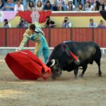 Vila Franca de Xira (Portugal), domingo 8 de julio de 2018