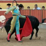 Vila Franca de Xira (Portugal), domingo 8 de julio de 2018