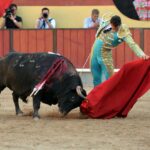 Vila Franca de Xira (Portugal), domingo 8 de julio de 2018