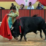 Vila Franca de Xira (Portugal), domingo 8 de julio de 2018