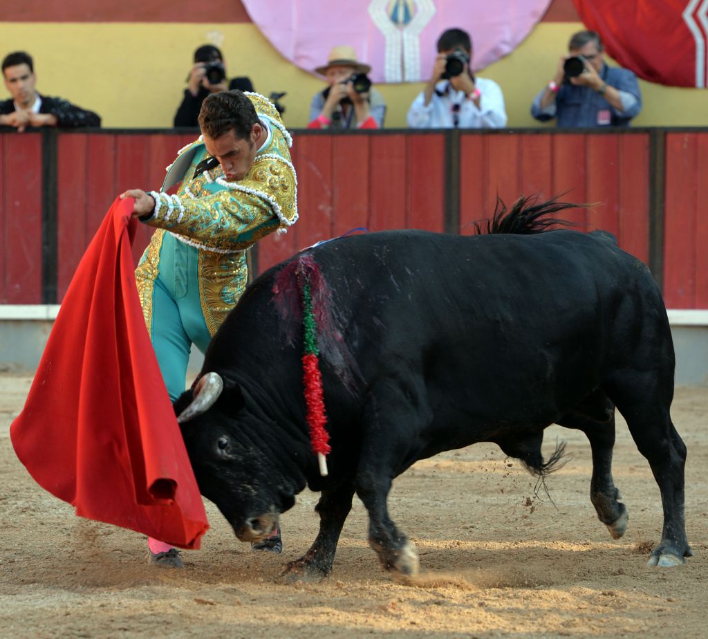 Vila Franca de Xira (Portugal), domingo 8 de julio de 2018