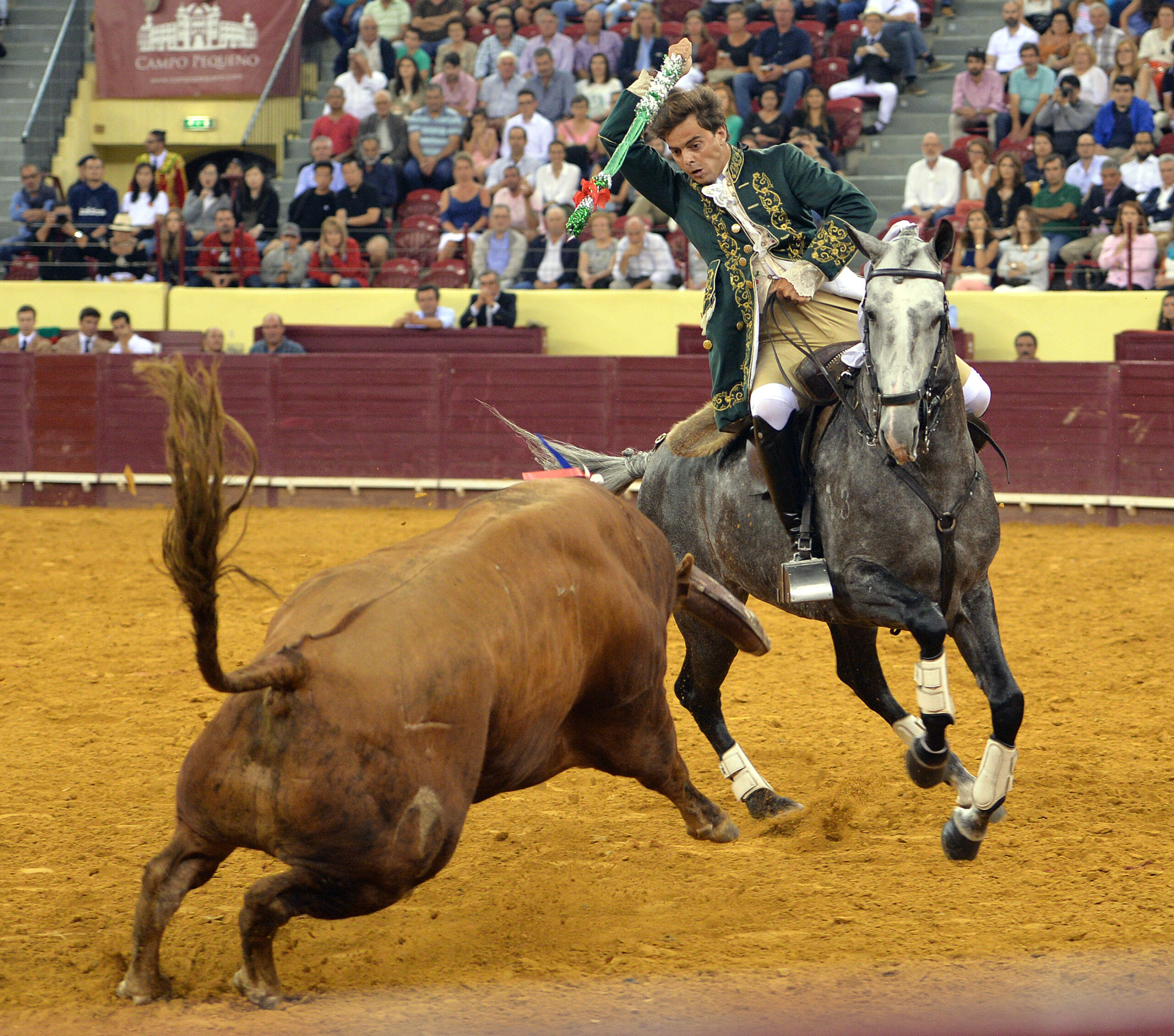 Luis Rouxinol, Filipe Gonçalves y Francisco Palha con toros de Pinto Barreiros