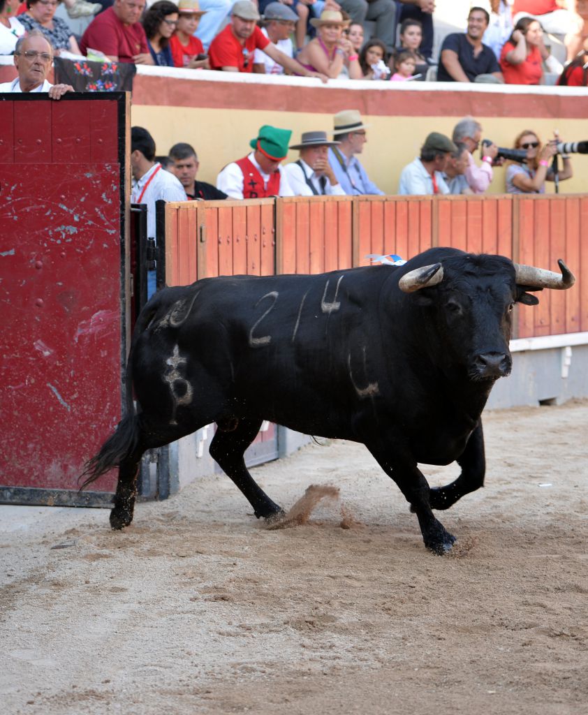 Vila Franca de Xira (Portugal), domingo 8 de julio de 2018