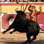 Vila Franca de Xira (Portugal), domingo 8 de julio de 2018