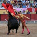 Vila Franca de Xira (Portugal), domingo 8 de julio de 2018
