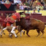 Luis Rouxinol, Filipe Gonçalves y Francisco Palha con toros de Pinto Barreiros