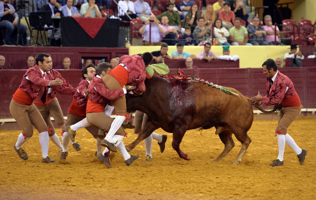 Luis Rouxinol, Filipe Gonçalves y Francisco Palha con toros de Pinto Barreiros