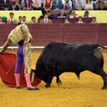 Lisboa, 5 de julio de 2018.