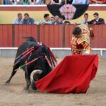 Vila Franca de Xira (Portugal), domingo 8 de julio de 2018