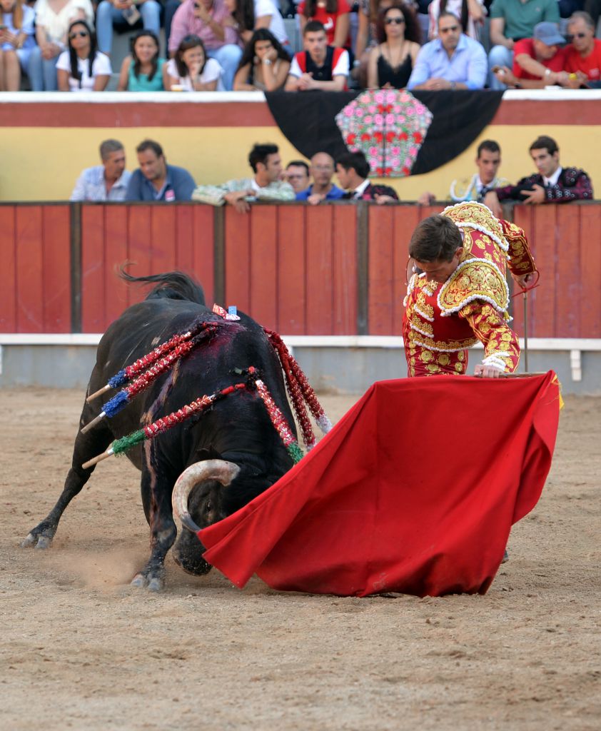Vila Franca de Xira (Portugal), domingo 8 de julio de 2018