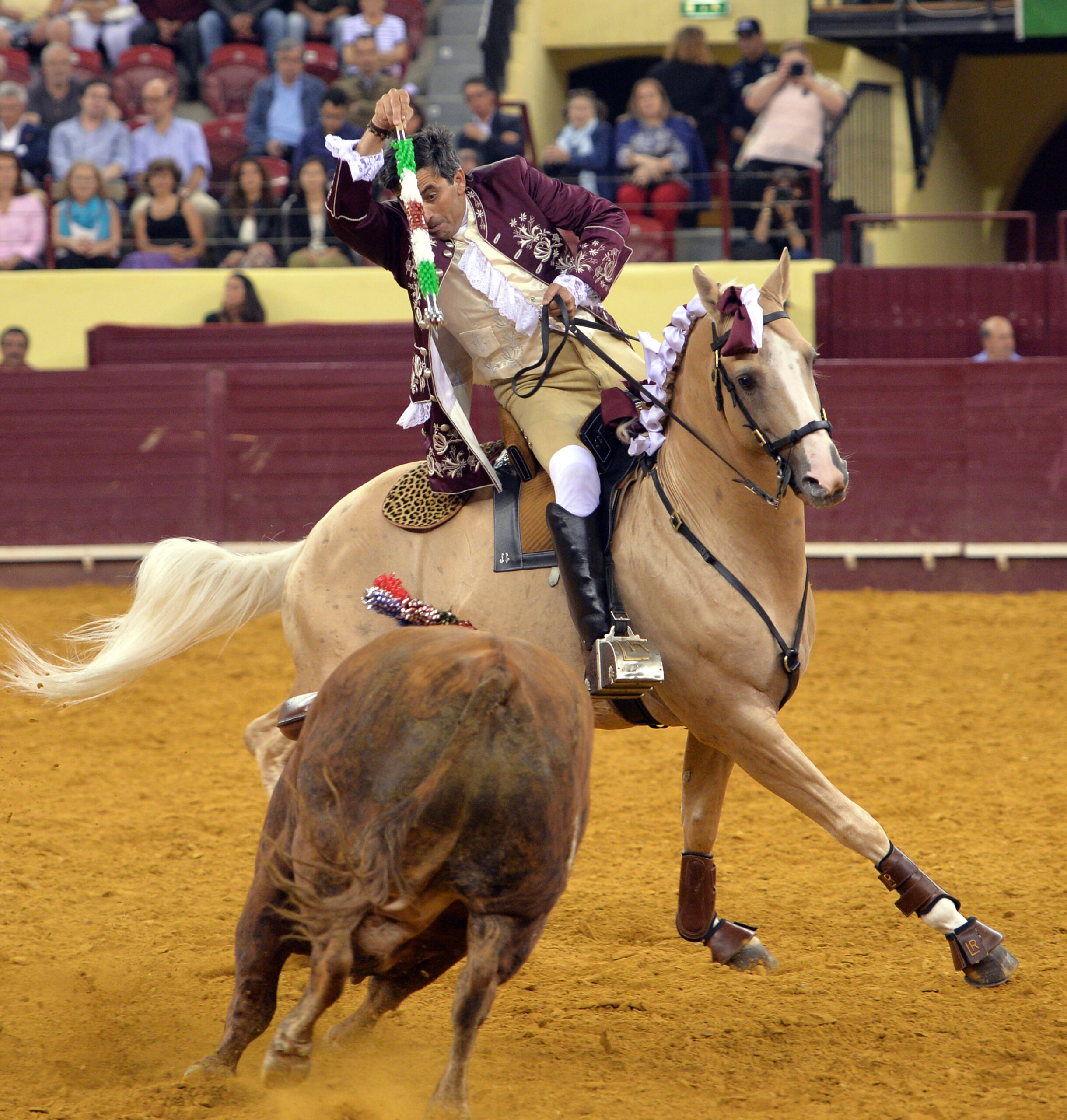 Luis Rouxinol, Filipe Gonçalves y Francisco Palha con toros de Pinto Barreiros