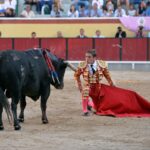 Vila Franca de Xira (Portugal), domingo 8 de julio de 2018