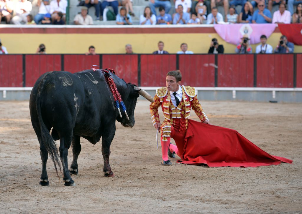 Vila Franca de Xira (Portugal), domingo 8 de julio de 2018