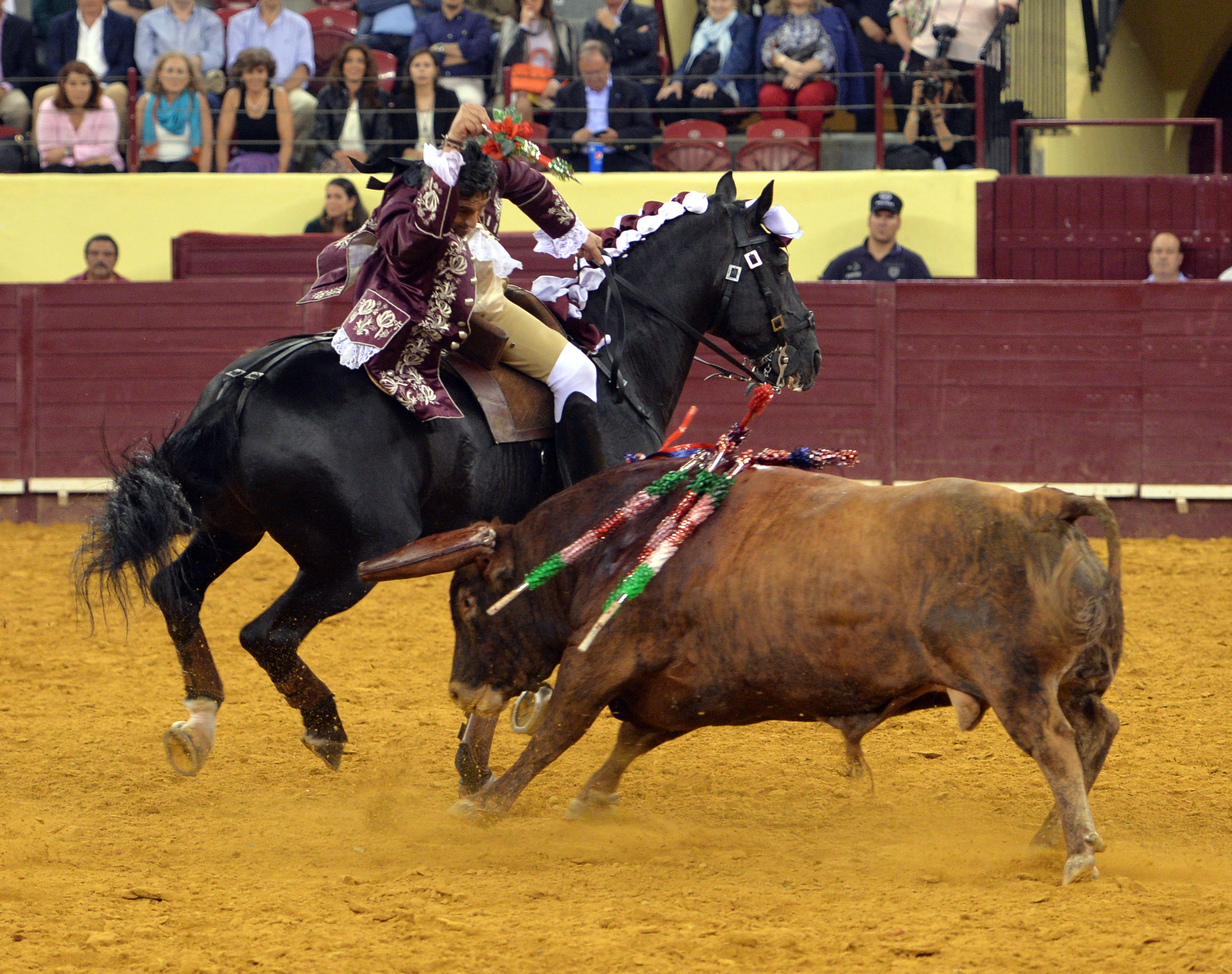 Luis Rouxinol, Filipe Gonçalves y Francisco Palha con toros de Pinto Barreiros